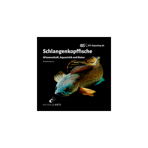 Snakeheads – Science, Nature and husbandry