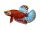 Schlüsselanhänger: Betta splendens "Red Star Tail", groß