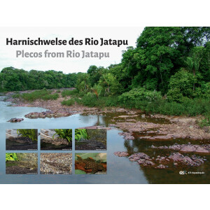 Poster: Harnischwelse des Rio Jatapu, groß